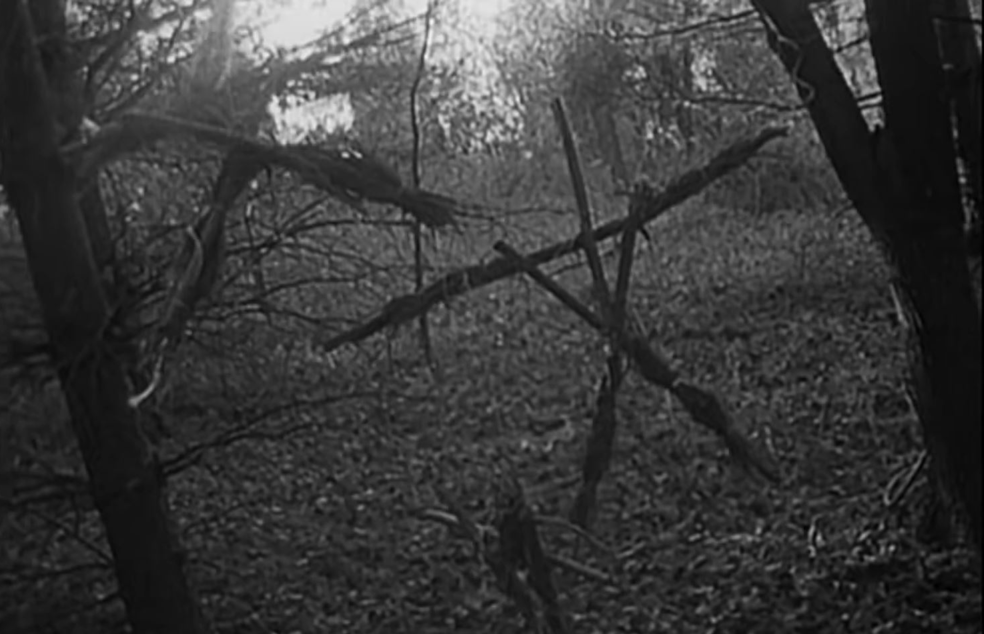 Figures made of sticks appear in the woods as totems of the Blair Witch