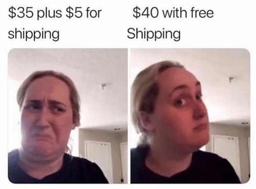 Brittany Broski meme where she is disgusted by $35 plus $5 for shipping, but intrigued by $40 with free shipping